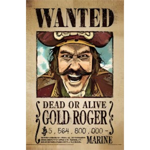 Placa Decorativa OnePiece Wanted Gold Roger NetFlix